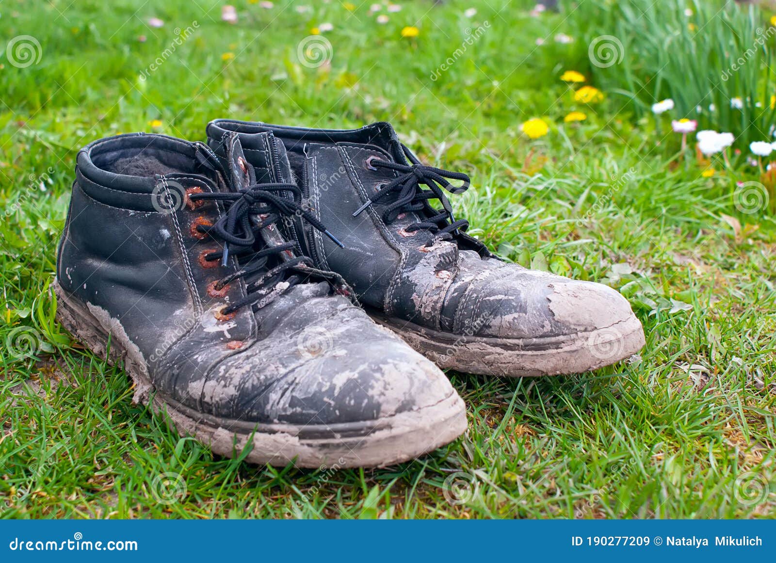 Dirty Shoes. Old Worn Out Men`s Boots with Dried Mud on the Green Grass ...