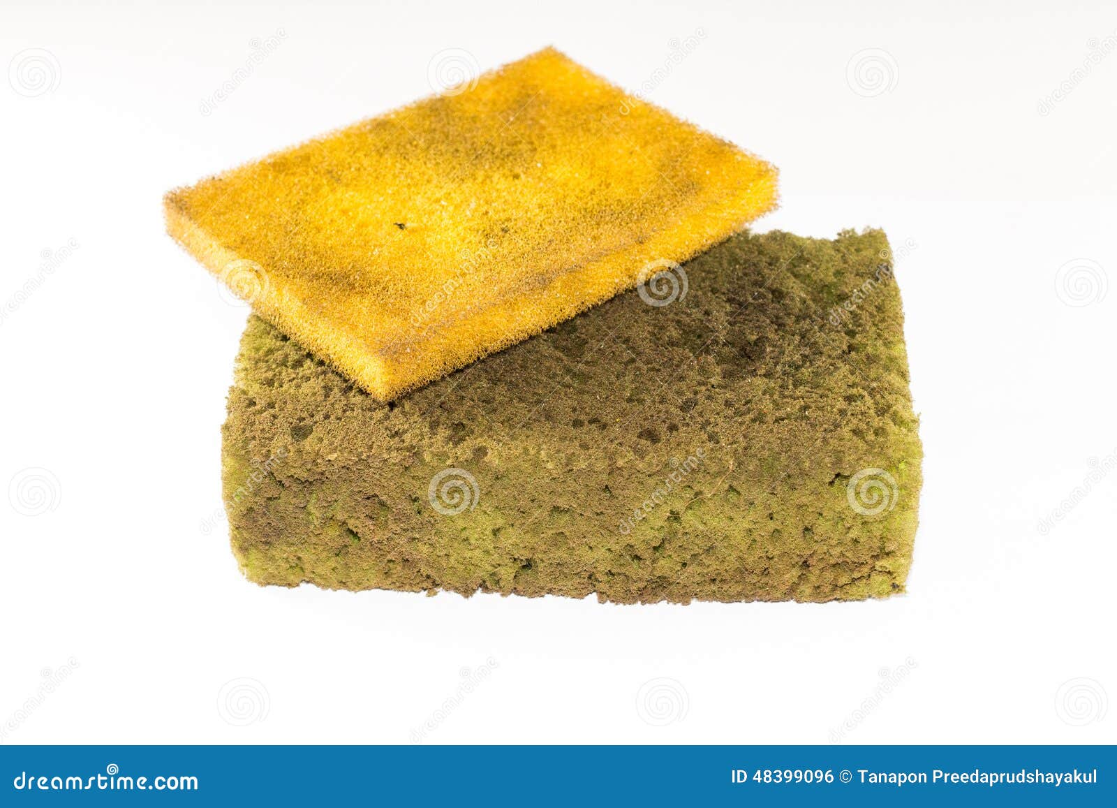 https://thumbs.dreamstime.com/z/dirty-sponge-two-old-dish-washing-sponges-white-background-48399096.jpg