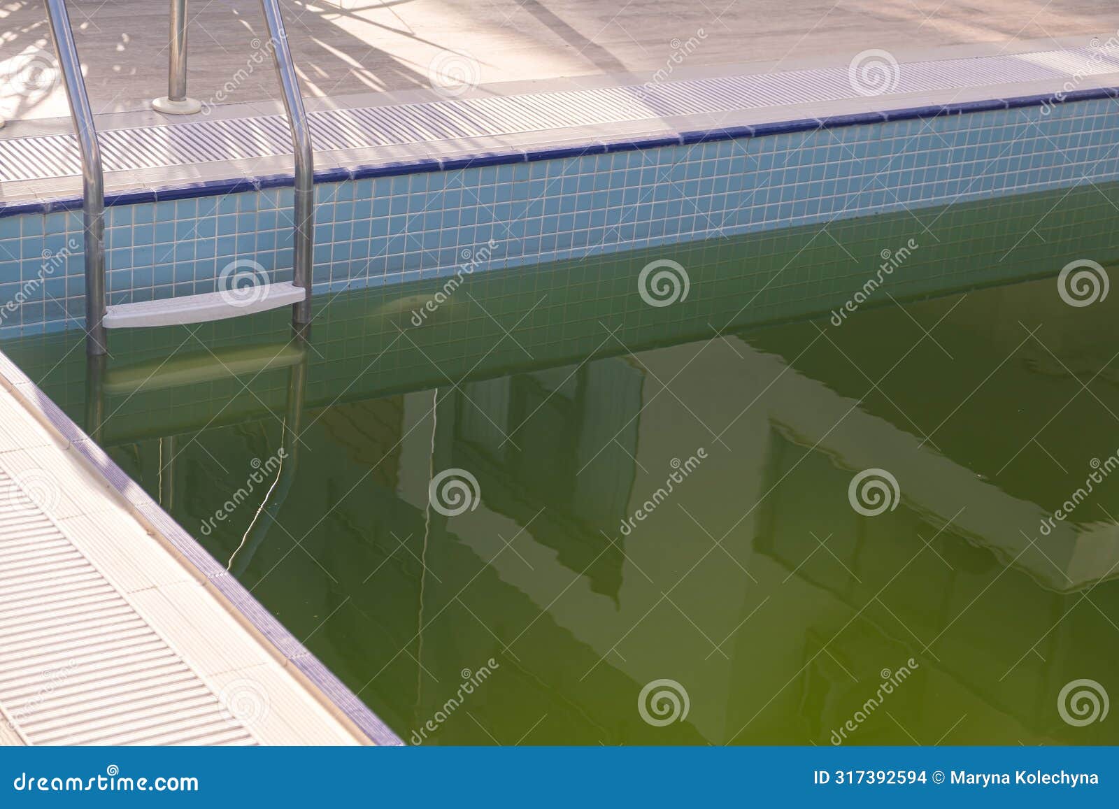 dirty swimming pool with green water. a close-up view of a neglected swimming pool with murky green water, reflecting its