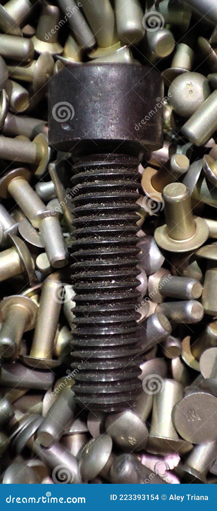 Dirty Thread Black Bolt with Rivets Stock Photo Image of rivets