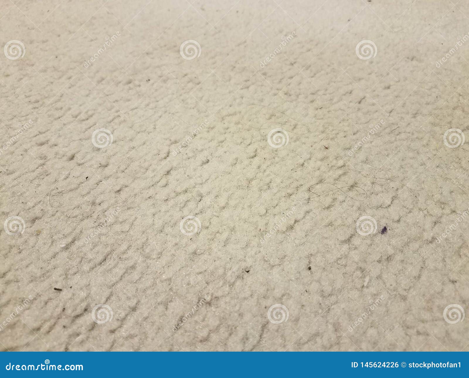 Dirty White Or Grey Carpet Or Rug With Hairs Stock Photo Image of fibers, carpet 145624226