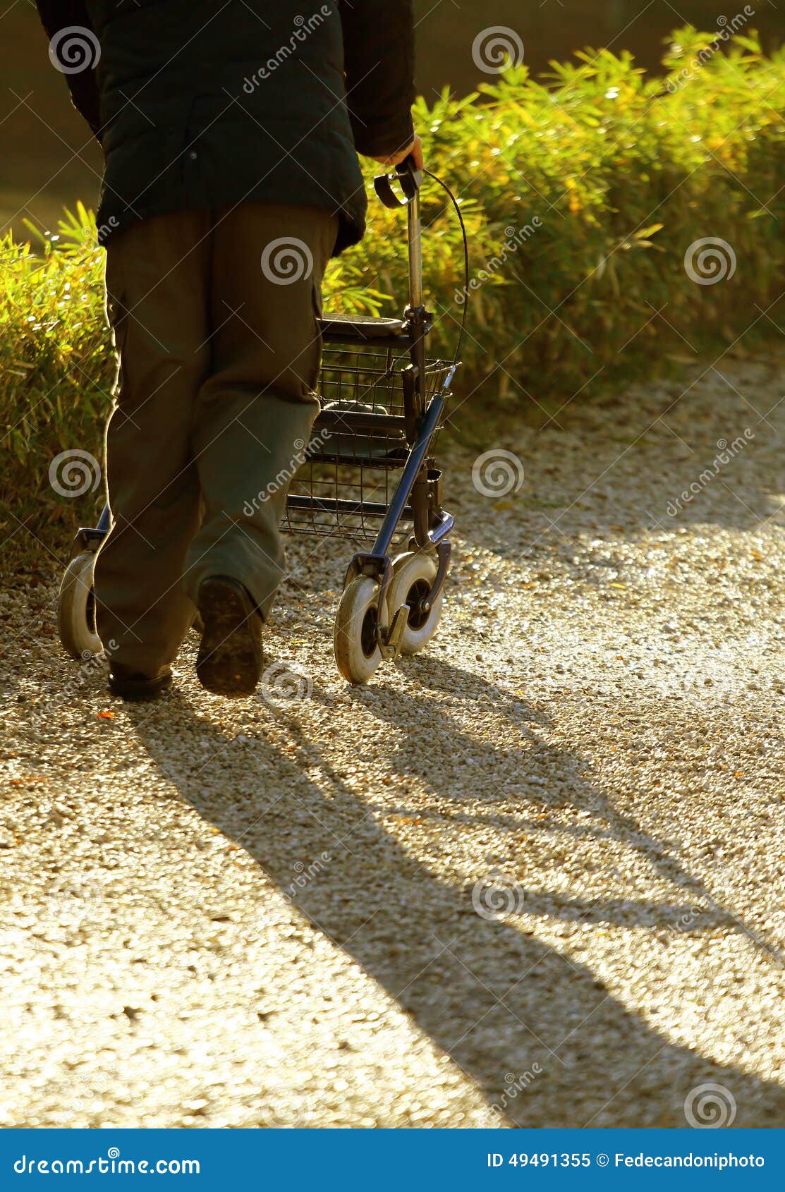 Disabled Elderly with Medical Walker for Walking Stock Image Image of