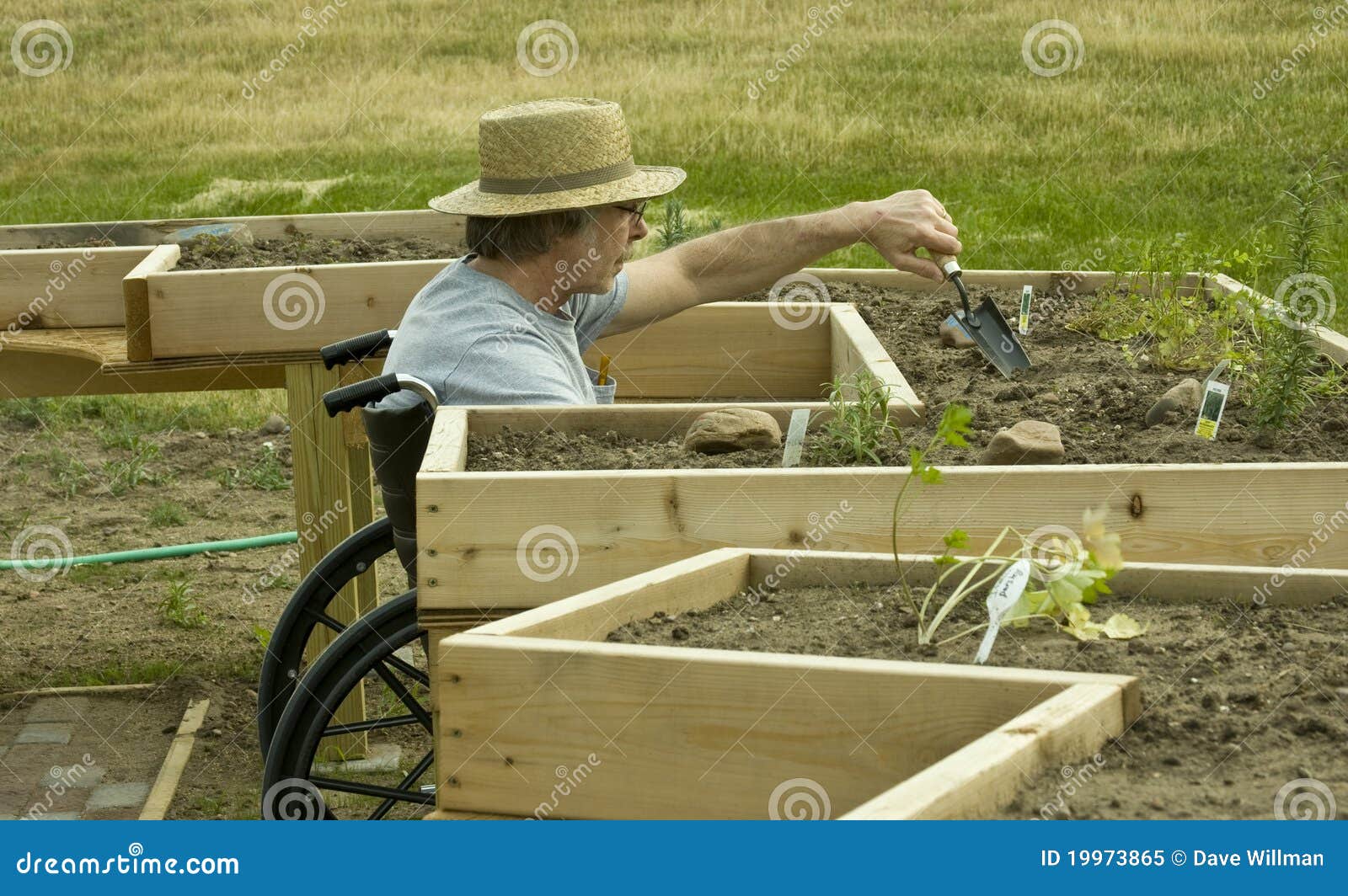 Disabled Gardener Royalty Free Stock Photo Image 19973865