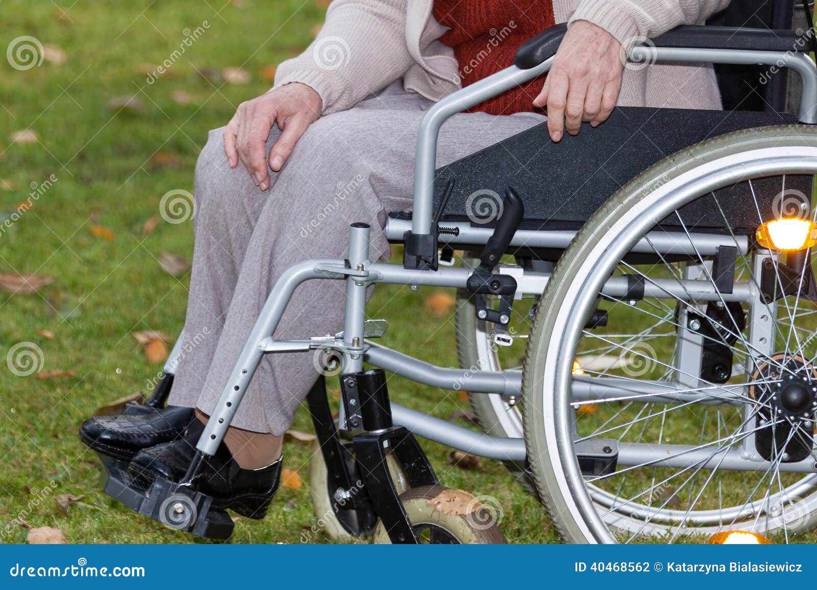 Disabled Person On Wheelchair Outdoors Stock Photo Image of park