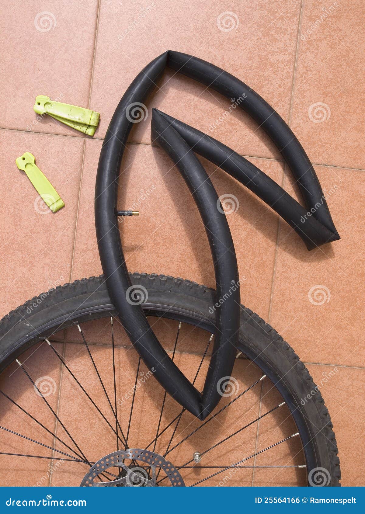 Disassembled Bicycle Wheel with Air Chamber Stock Photo Image of