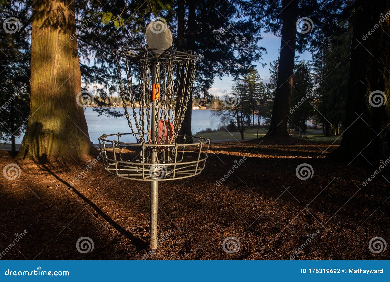 Disc Golf Basket On Pretty Park Course Near A Lake Under ...