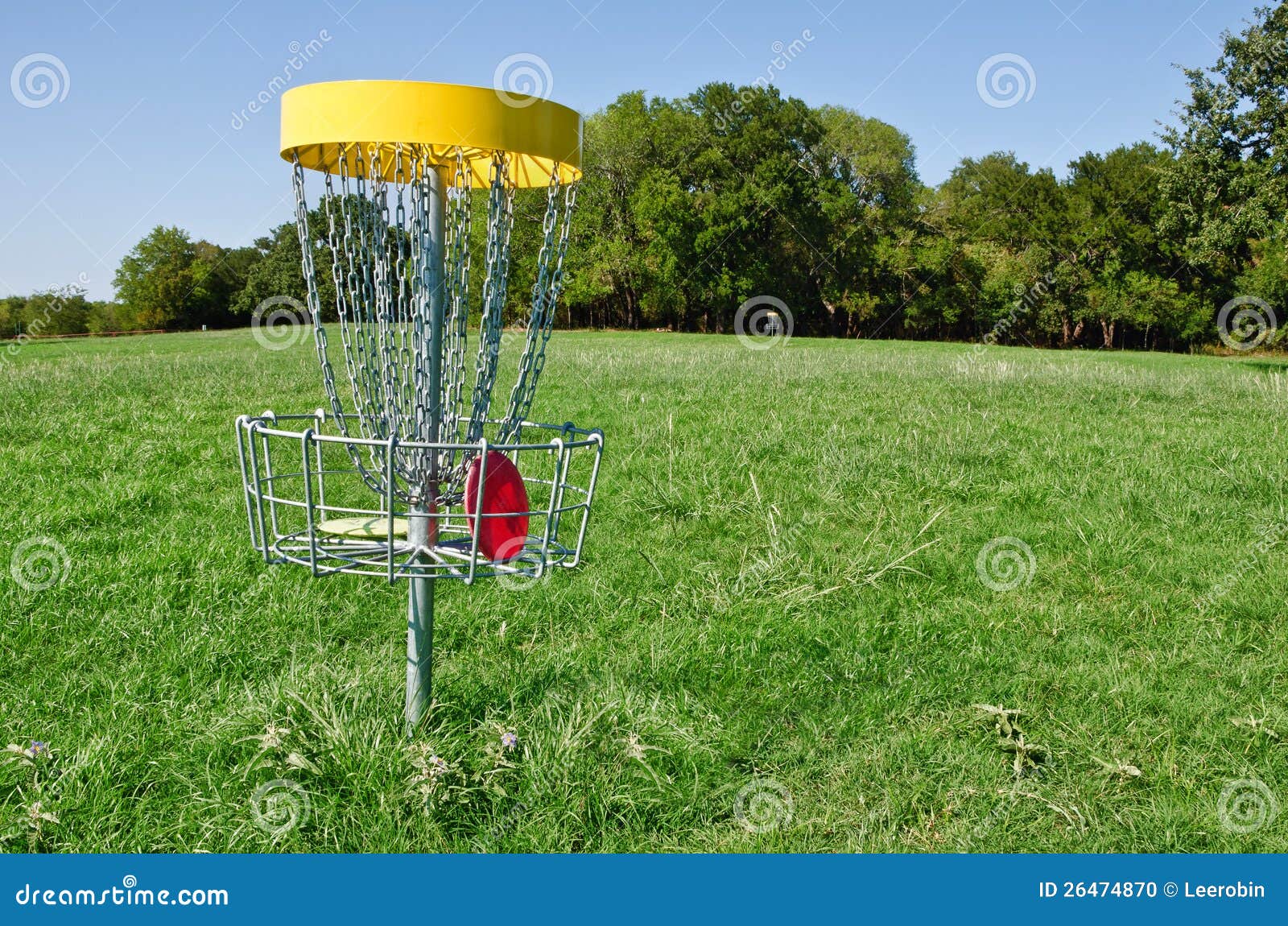 disc golf hole