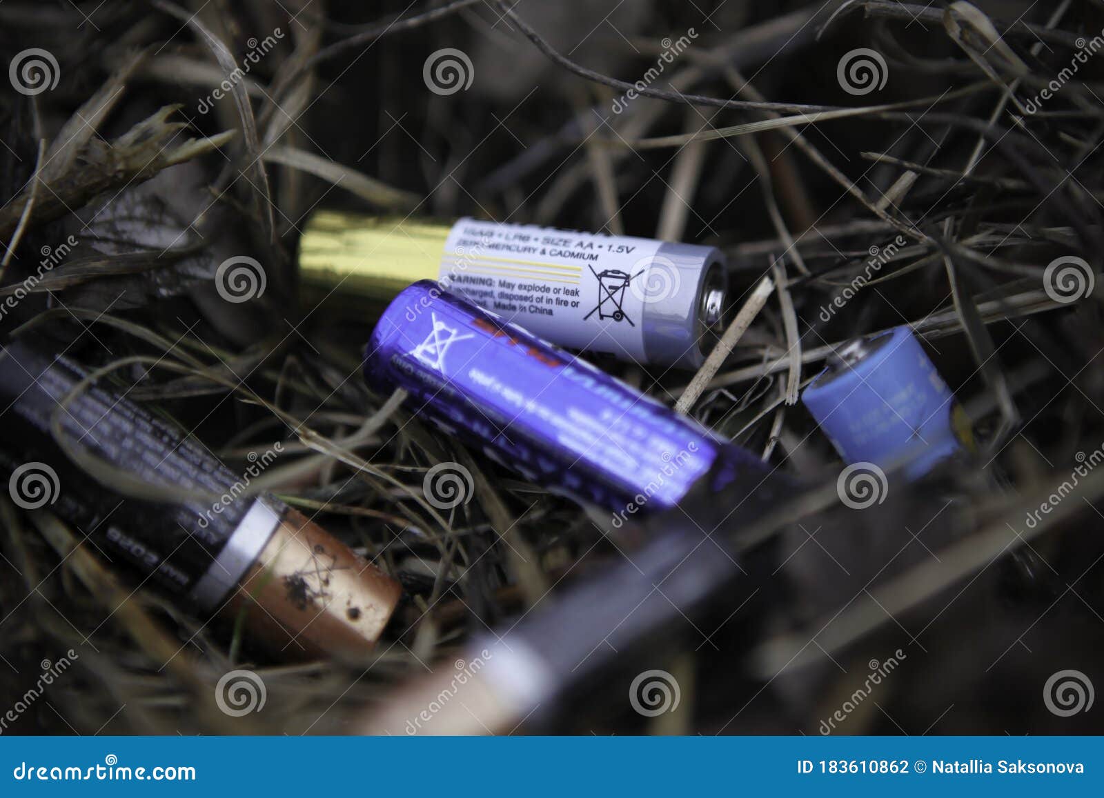 Stille cyklus mandat Discarded Batteries Lie in Dry Grass. the Problem of Ecology and Nature  Pollution. Stock Photo - Image of acid, dispose: 183610862