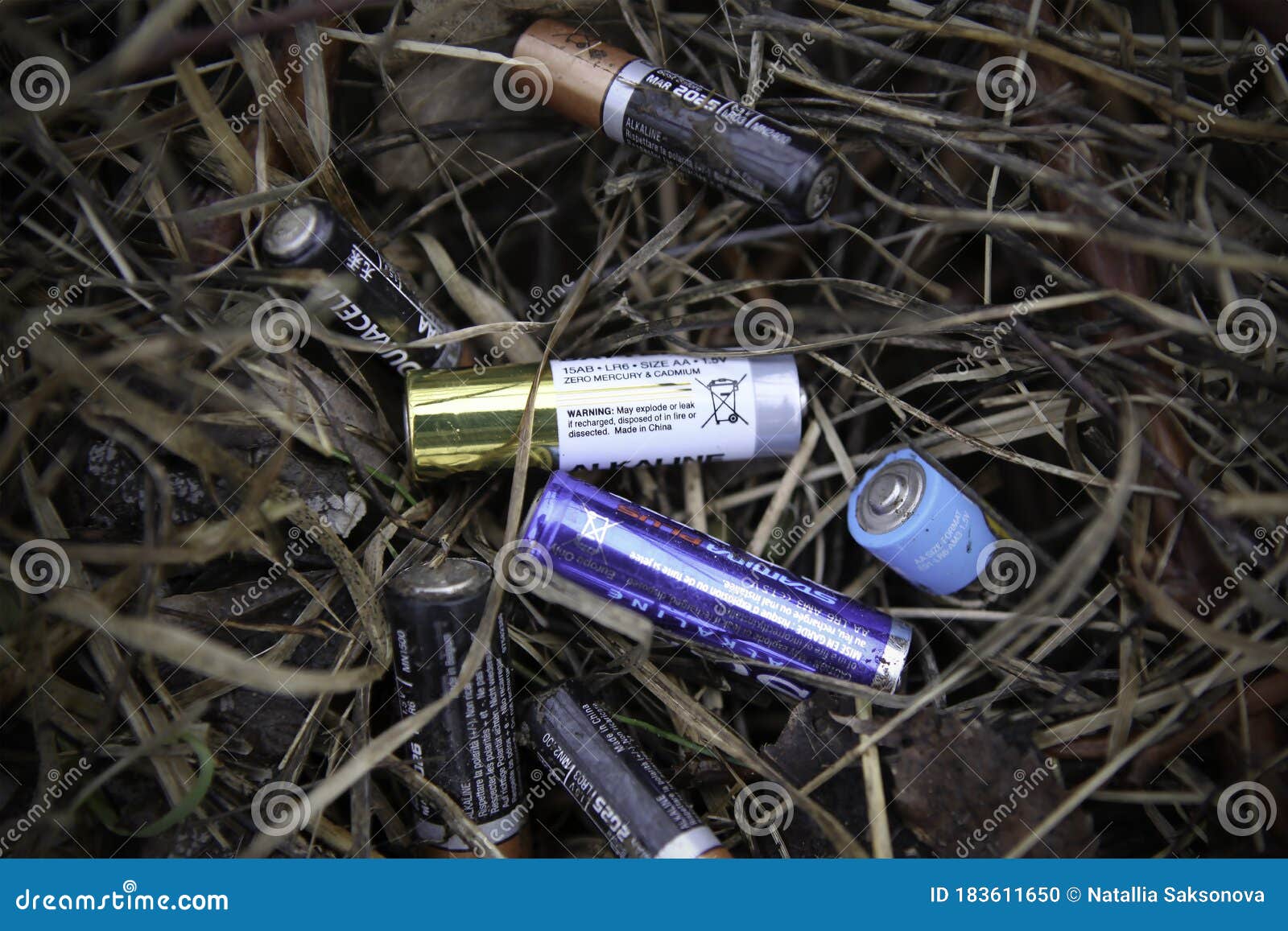 frugtbart dragt gravid Discarded Batteries Lie in Dry Grass. the Problem of Ecology and Nature  Pollution. Stock Photo - Image of defective, acid: 183611650