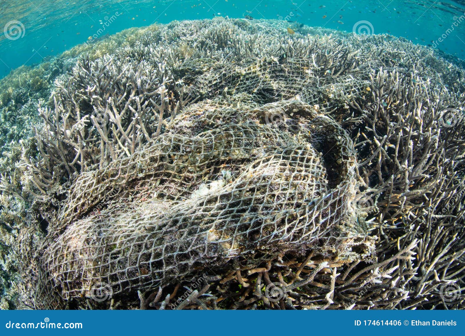 discarded fishing net destroying coral