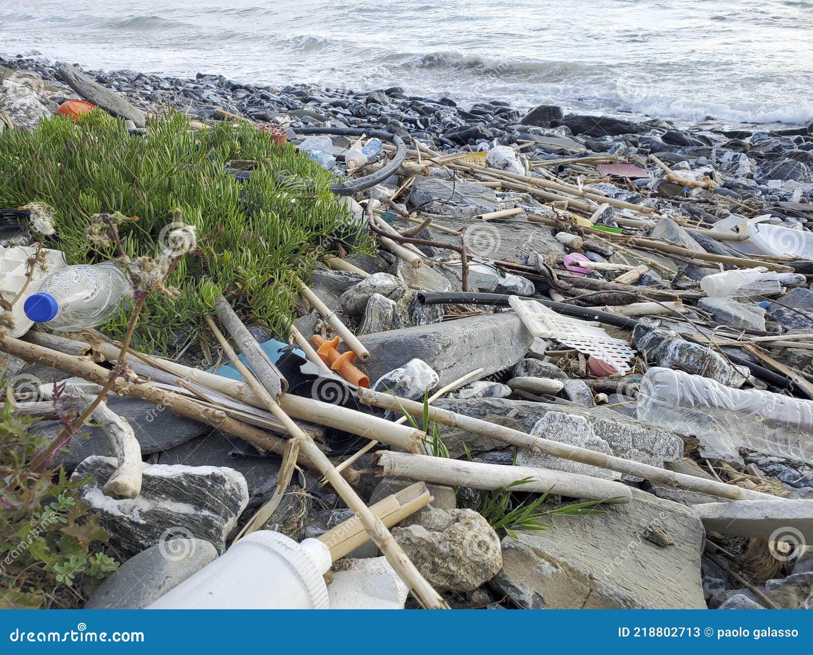 Dump of Plastic Garbage Pollution on Contaminated Sea Coast Ecosystem ...