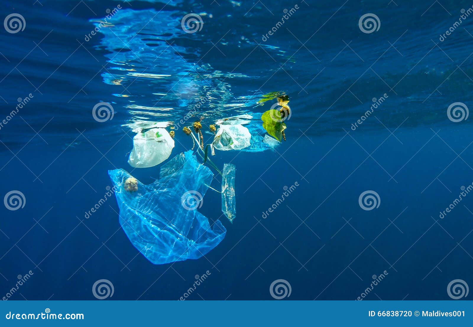 discarded plastic in ocean