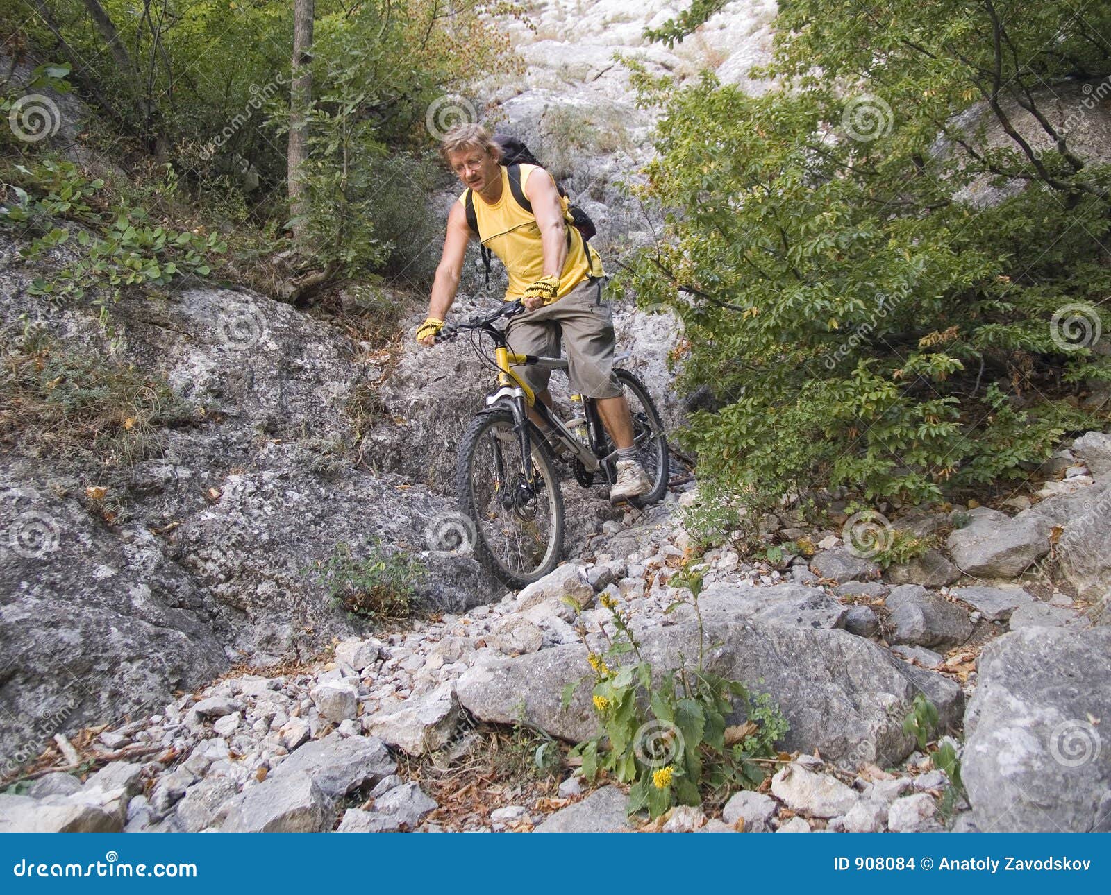 ad eccezione delle biciclette