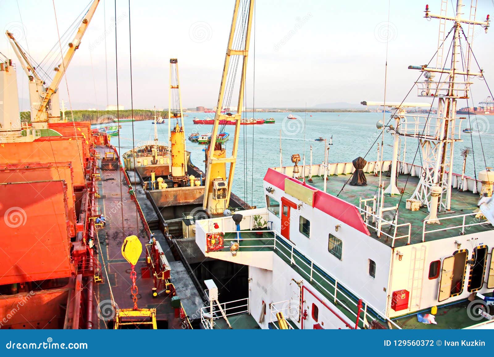 catlight vietnam port catlight vietnam port