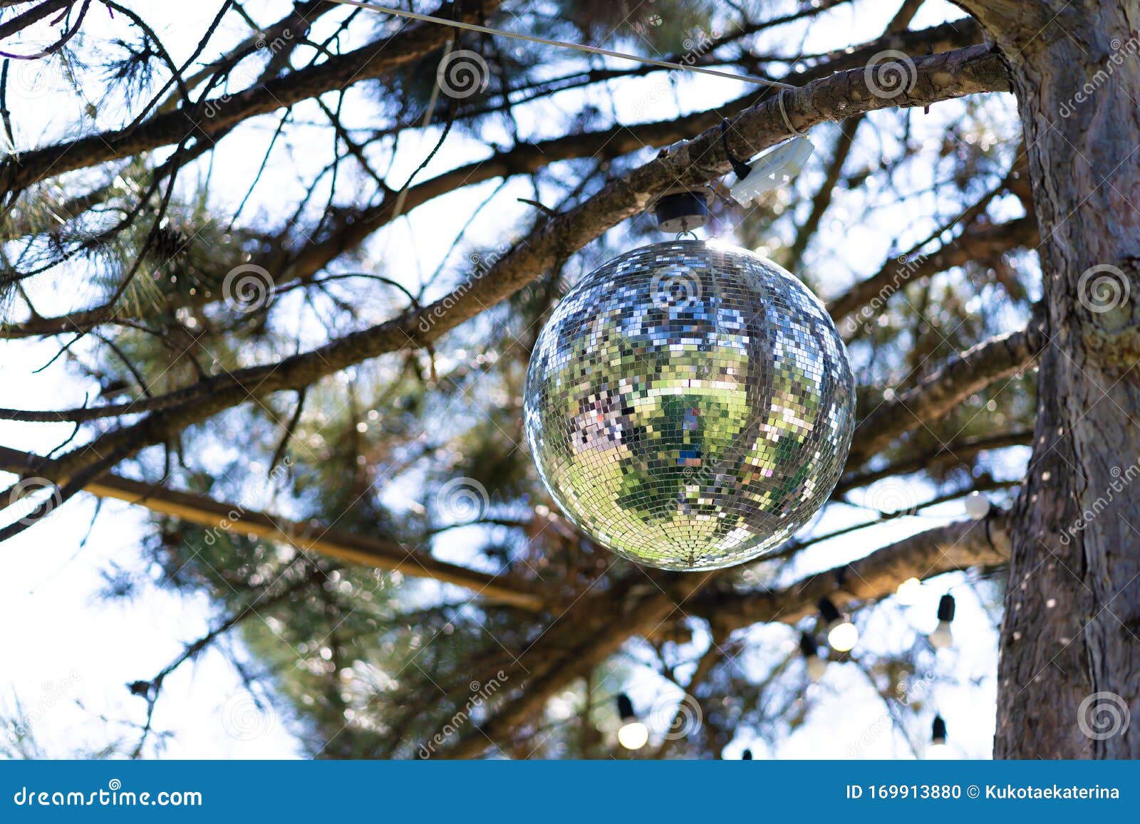 Disco Ball on a Tree on a Sunny Day Stock Photo Image of sphere
