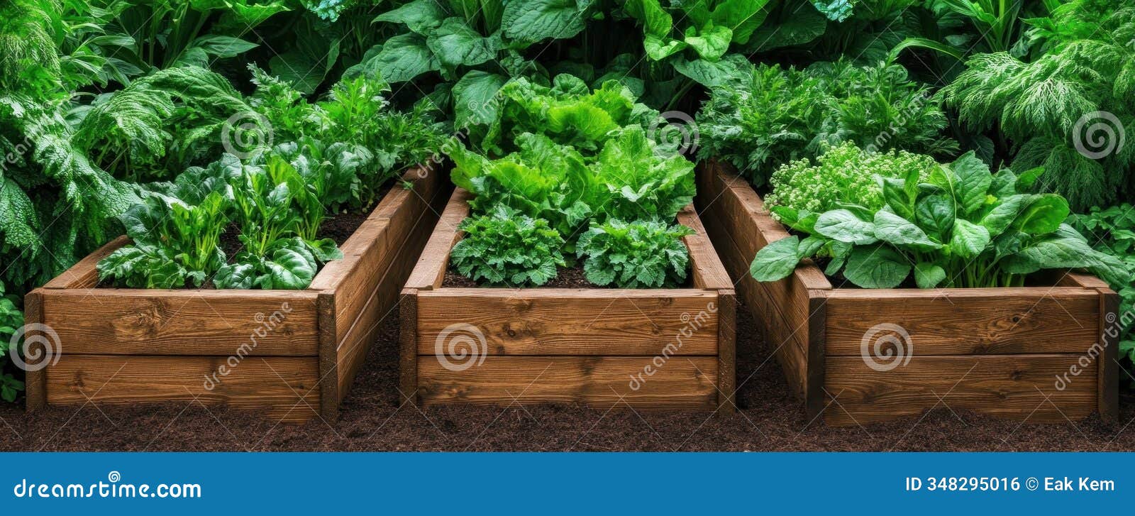 discover innovative raised bed layouts for ergonomic and productive gardening spaces explore productive raised bed s and