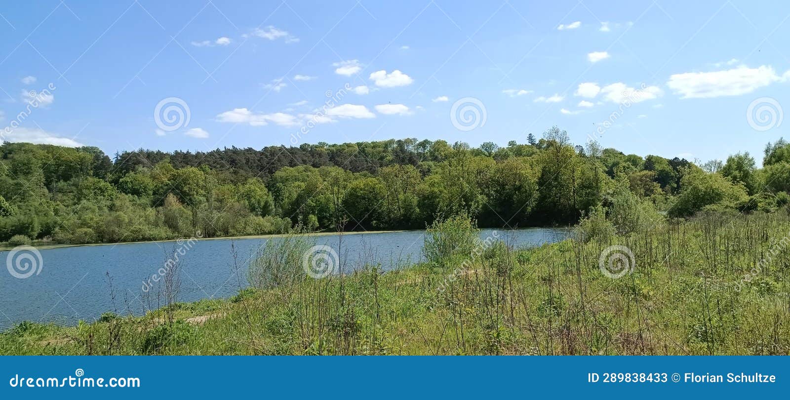 a quiet lake in germany, surrounded by trees, forest and bushes