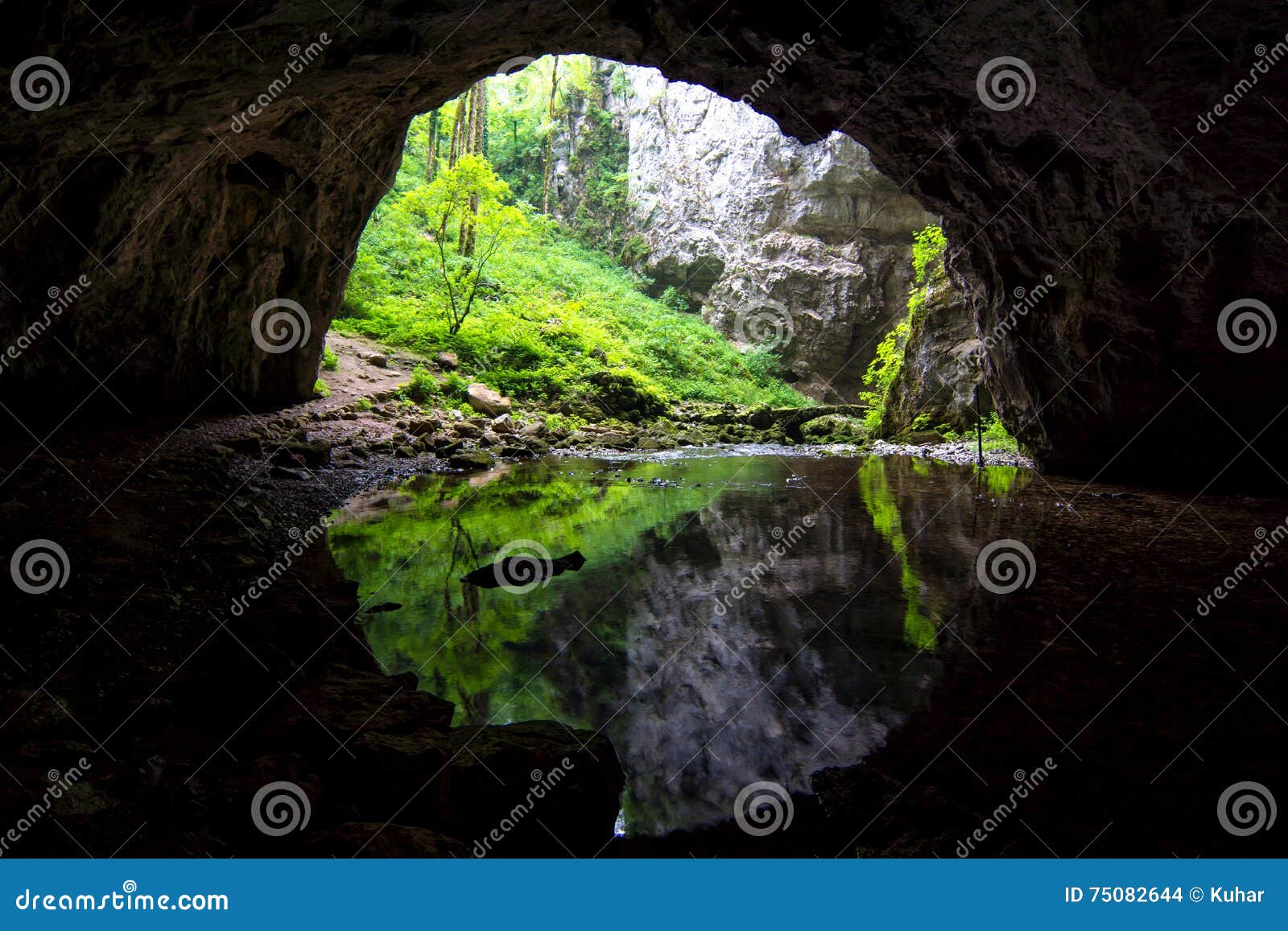 discovering wild caves