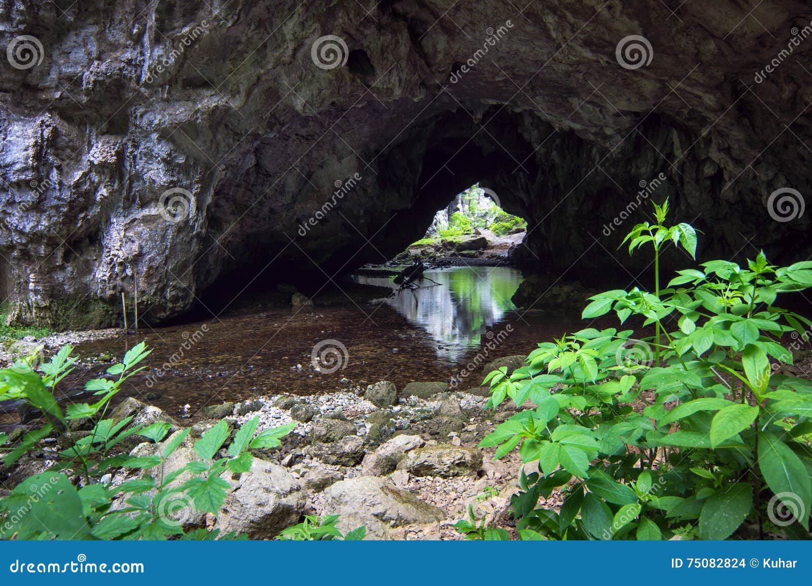 discovering wild caves