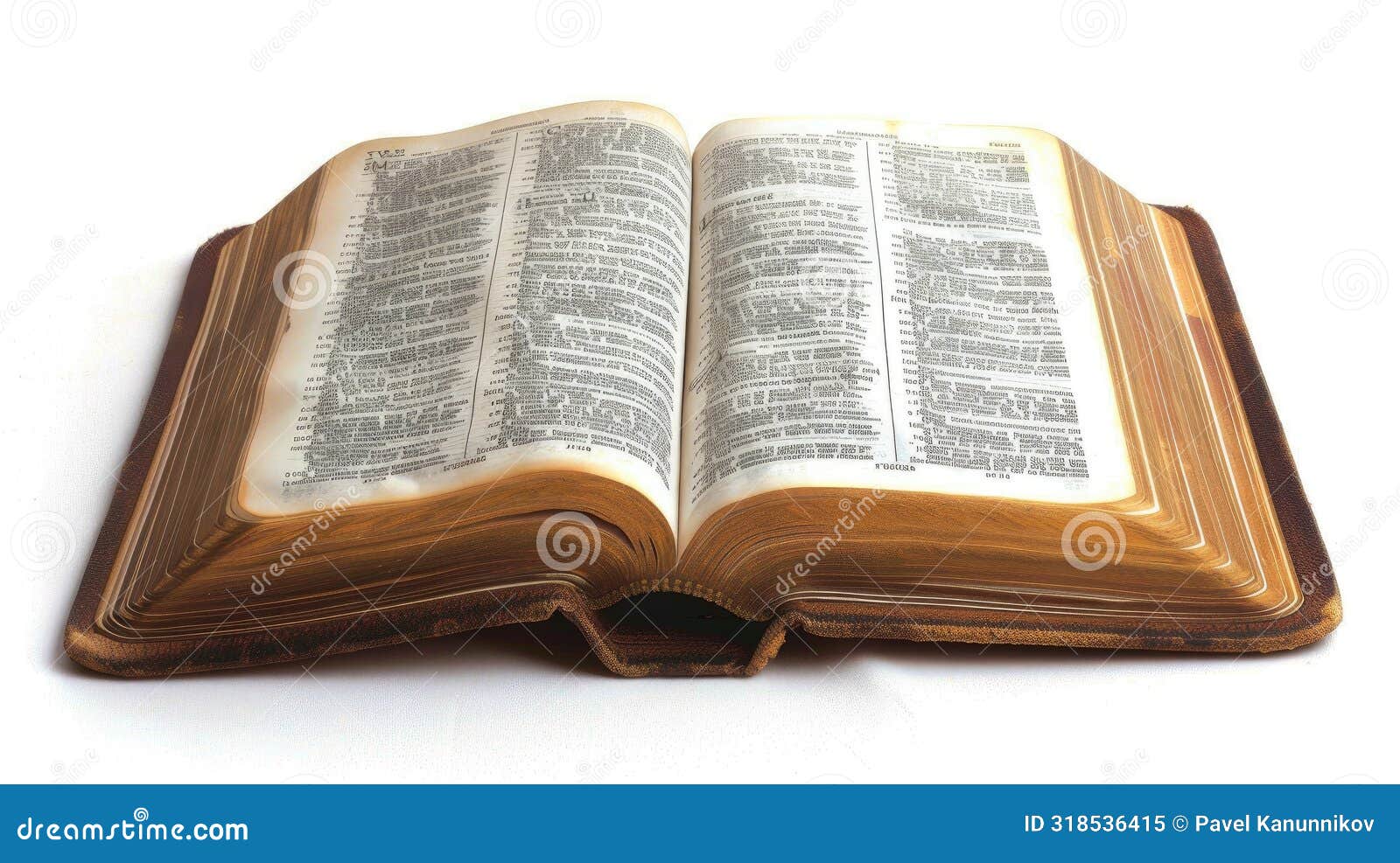 Discovering Worlds: an Open Book Unveiling Secrets on a Blank Canvas 