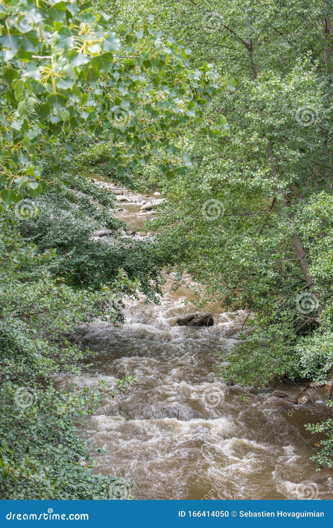 discovery of the eastern pyrenes in summer, still wild region of france