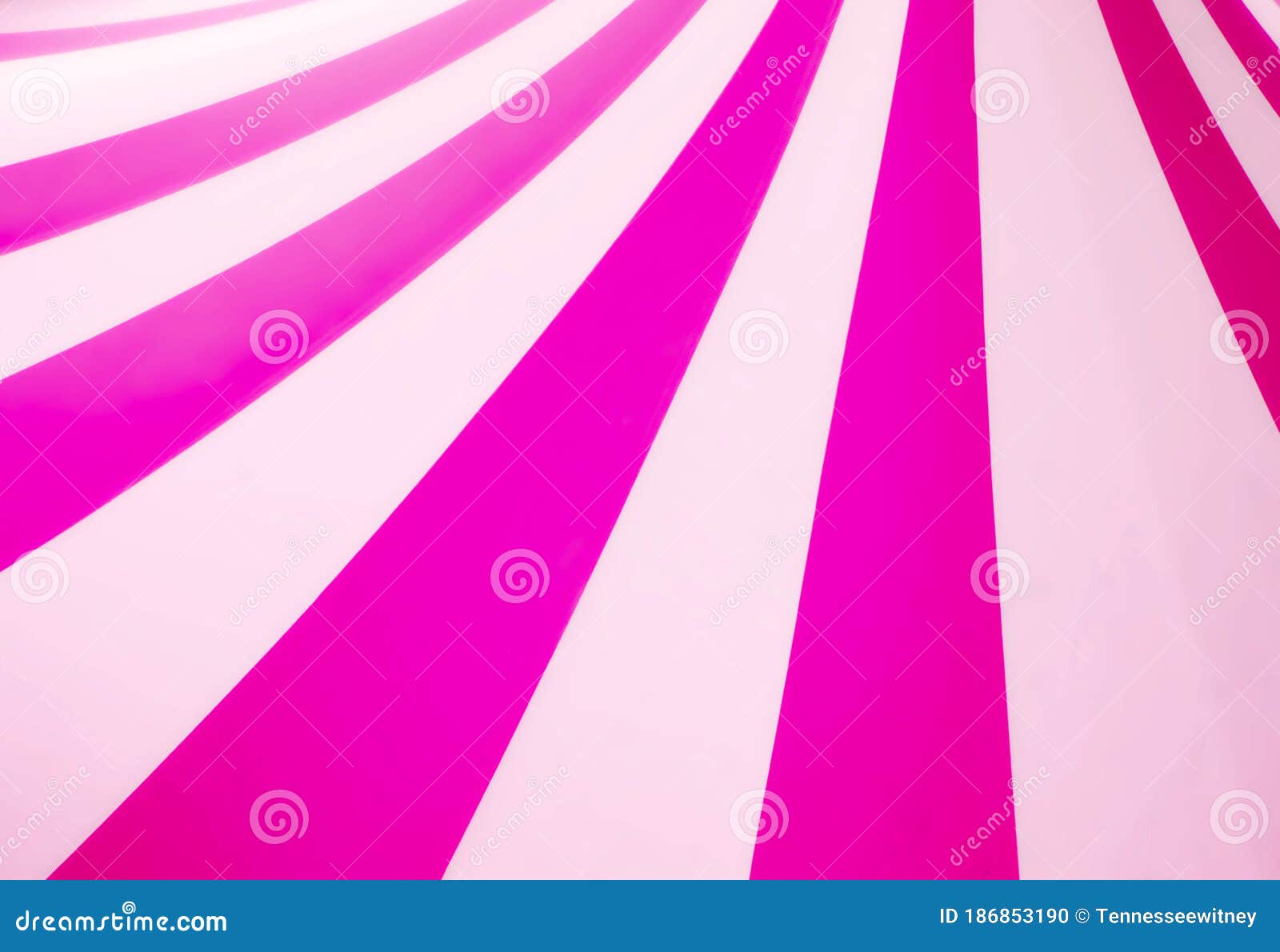 Marco de rayas blancas de corona de princesa rosa telón de fondo de  estudio fotográfico personalizado vinilo de 220cm X 150cm 7X5 pies