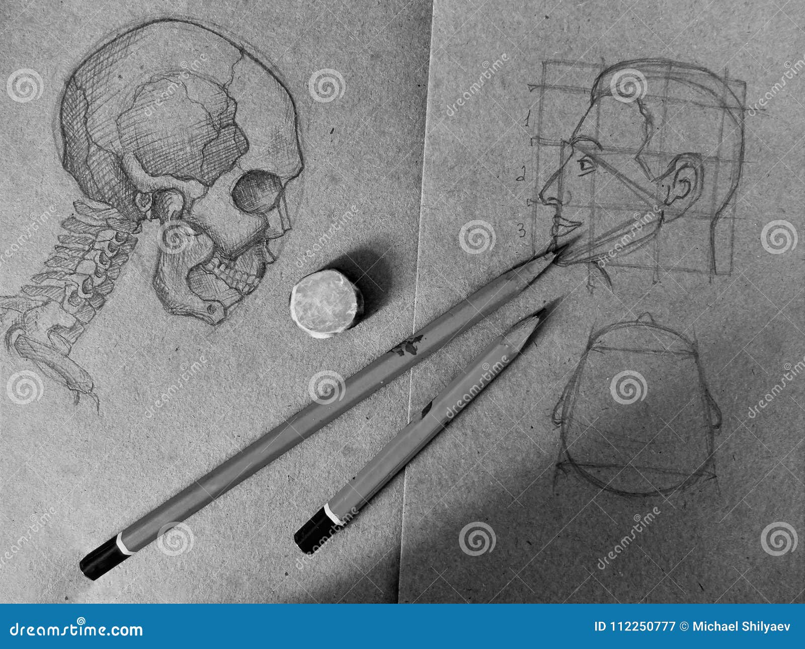 Disegni A Matita Lo Schizzo Di Un Cranio E Di Una Testa Umana Nel Vecchio Taccuino Immagine Stock Immagine Di Mano Corpo