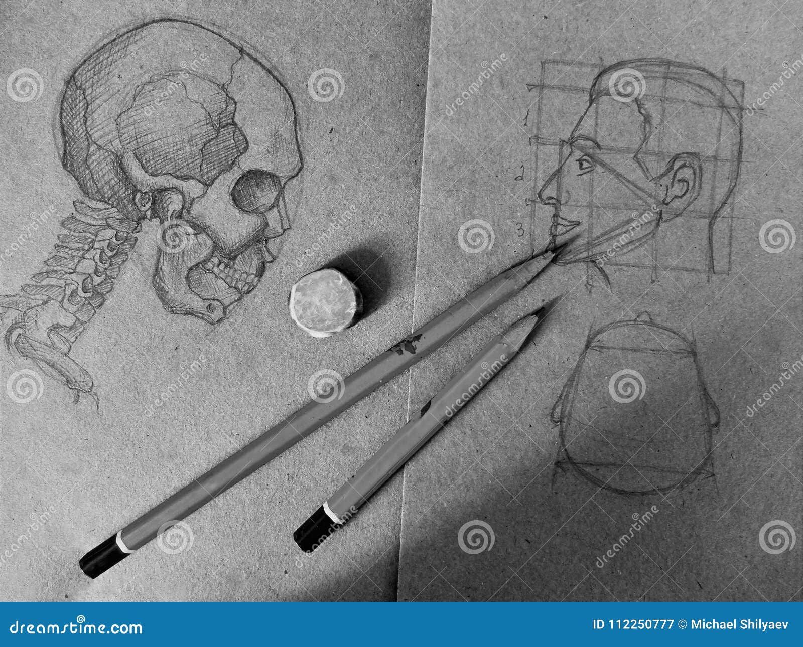 Disegni A Matita Lo Schizzo Di Un Cranio E Di Una Testa