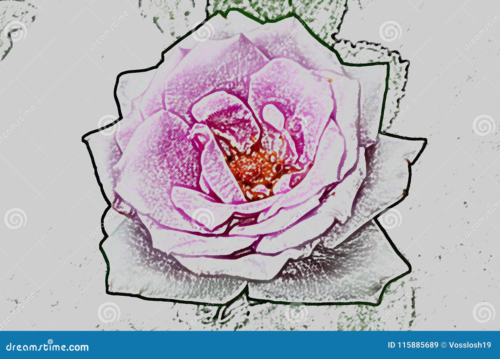 Disegno Astratto Di Un Fiore Di Una Rosa Imitante Disegno Da Una Matita Illustrazione Di Stock Illustrazione Di Figura Pallido