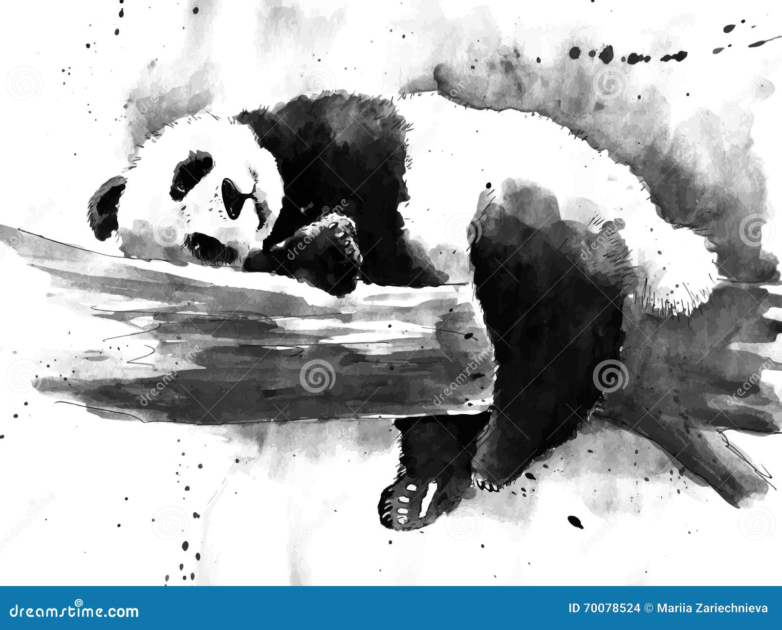 Disegno In Bianco E Nero Del Panda Dellacquerello