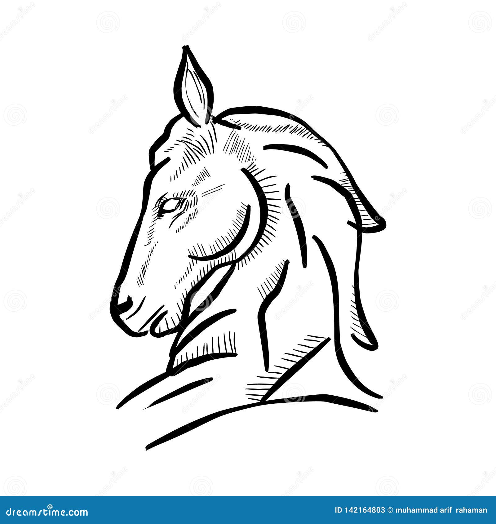 Disegno In Bianco E Nero Semplice Della Testa Di Cavallo