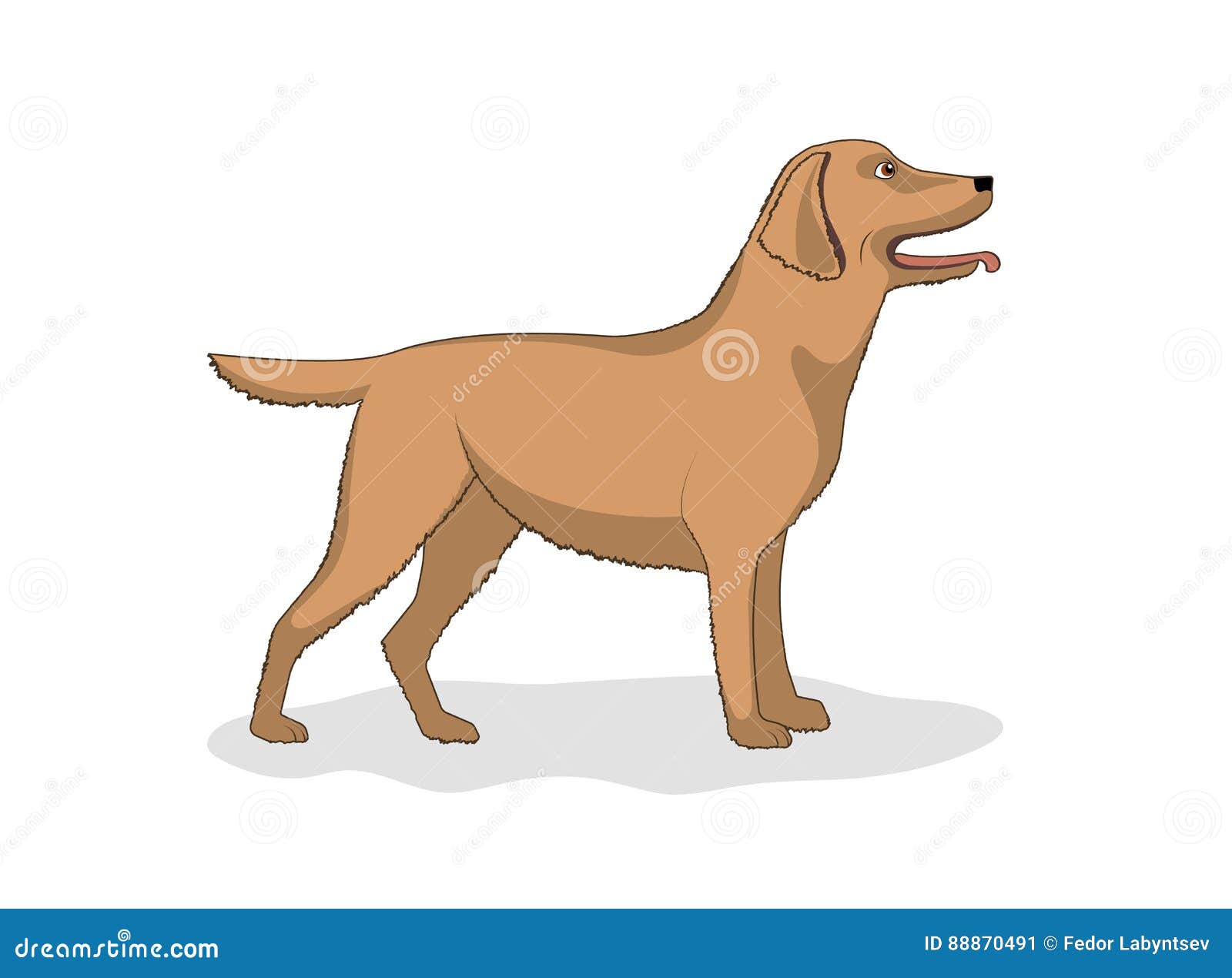 Disegno Di Un Cane Della Razza Labrador Illustrazione Di