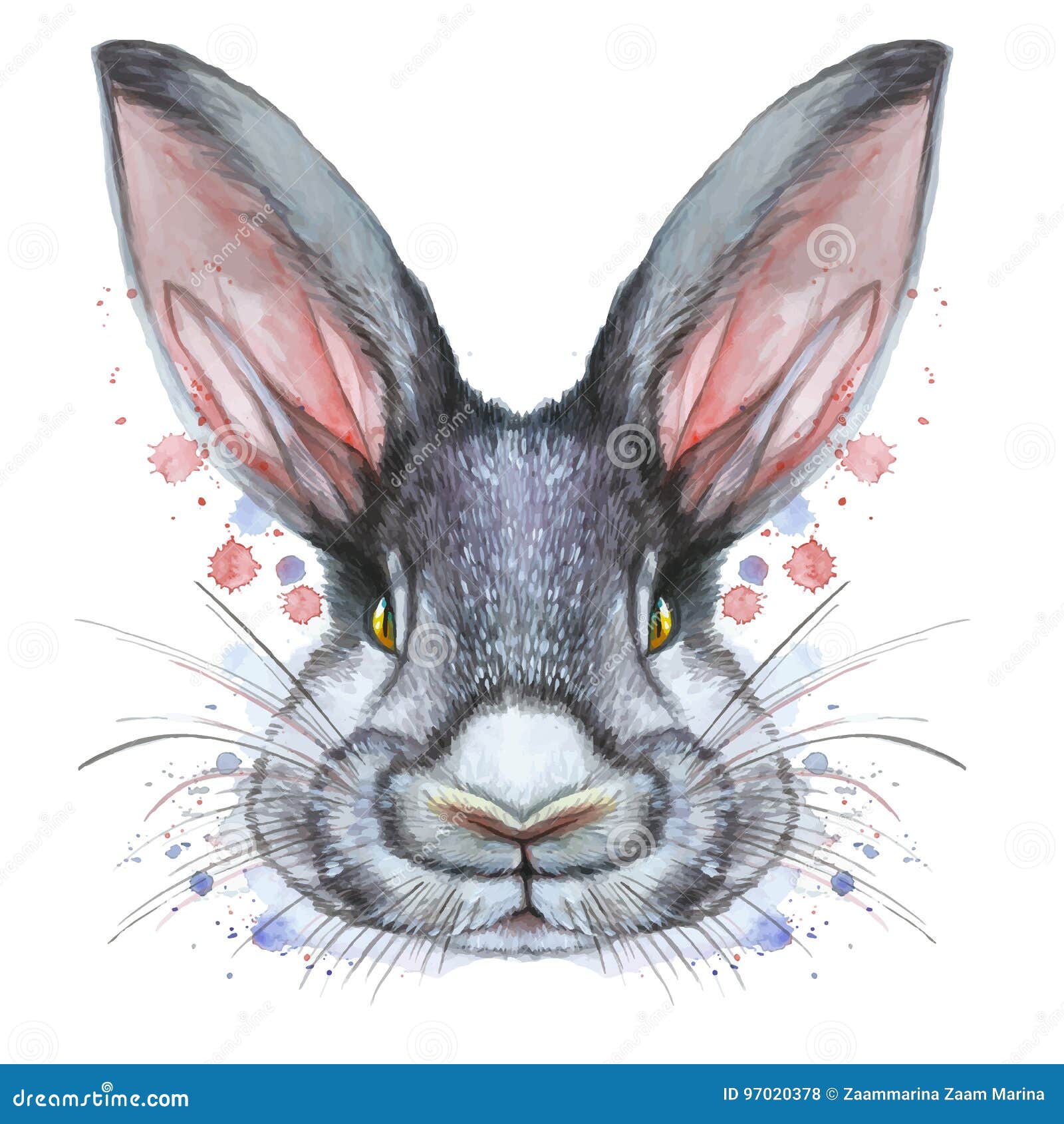 Disegno dipinto con il ritratto dell acquerello dei colori animali del mammifero di una lepre del coniglio a letto