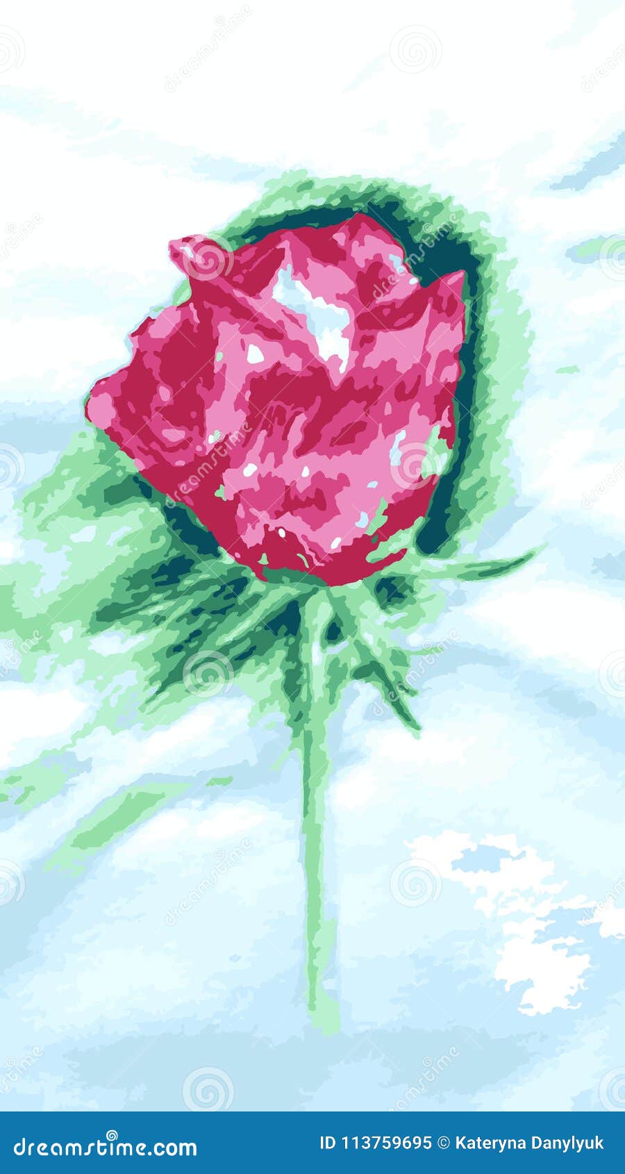 Disegno A Matita Colorato Dei Fiori Della Rosa Di Rosa Illustrazione Vettoriale Illustrazione Di Colorato Illustrazione