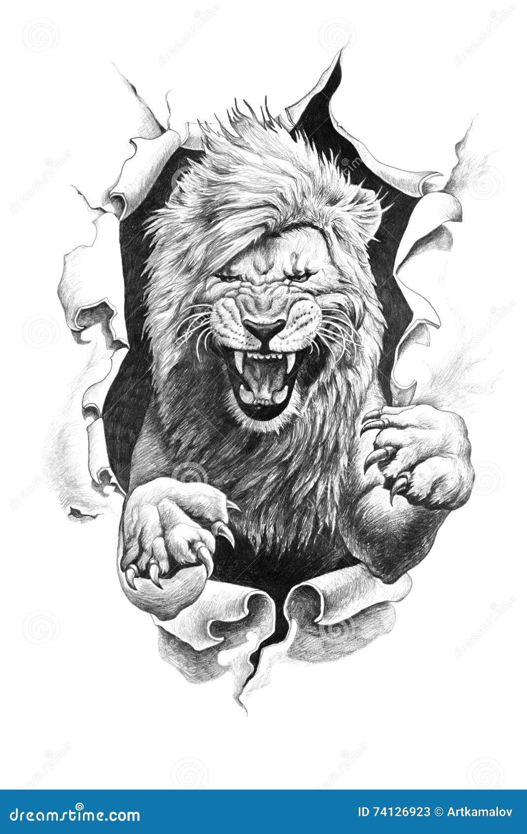 Disegno a matita di un leone Libera da Diritti