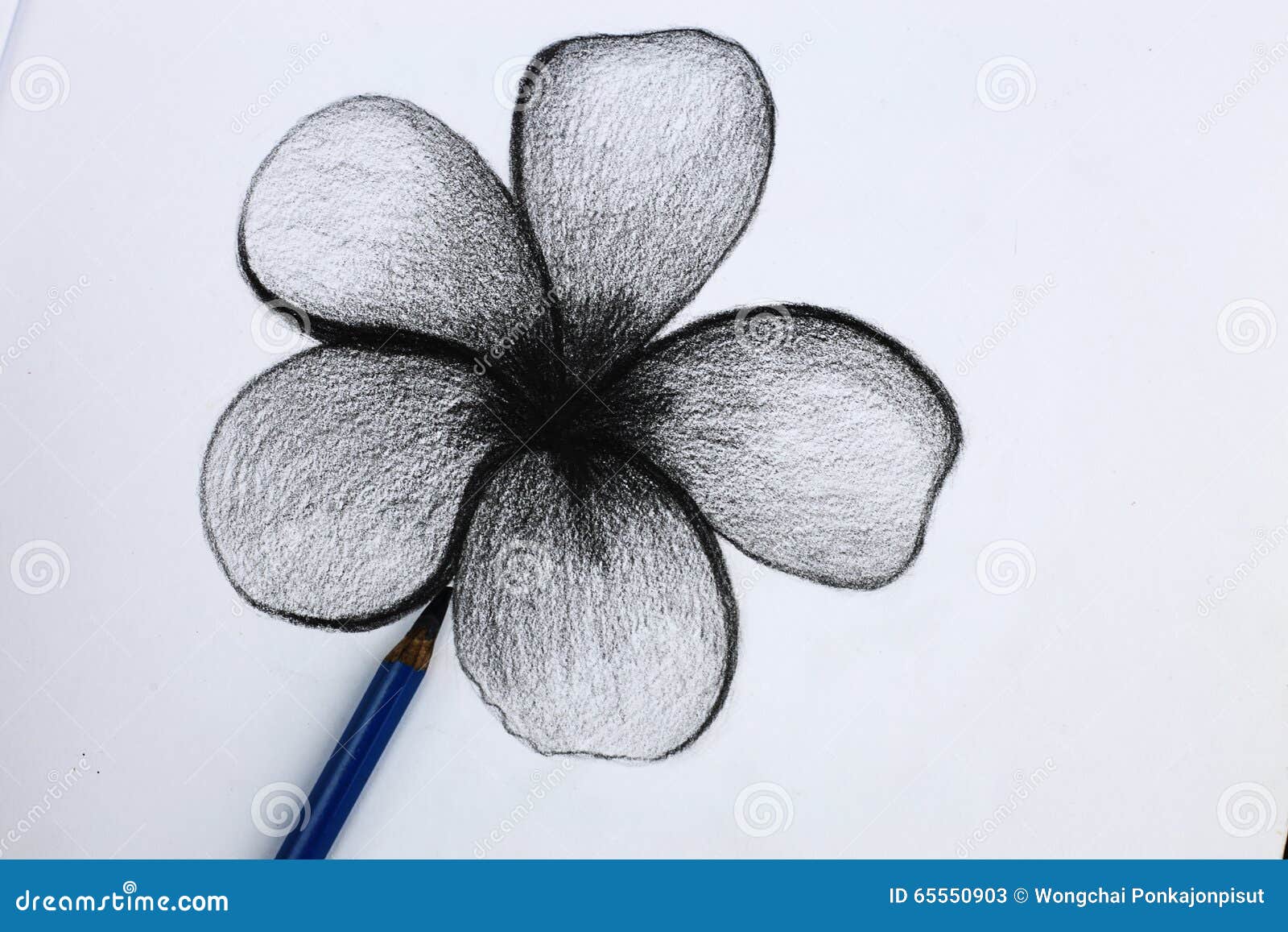 Disegno A Matita I Dei Fiori Immagine Stock Immagine Di Palette Bambino