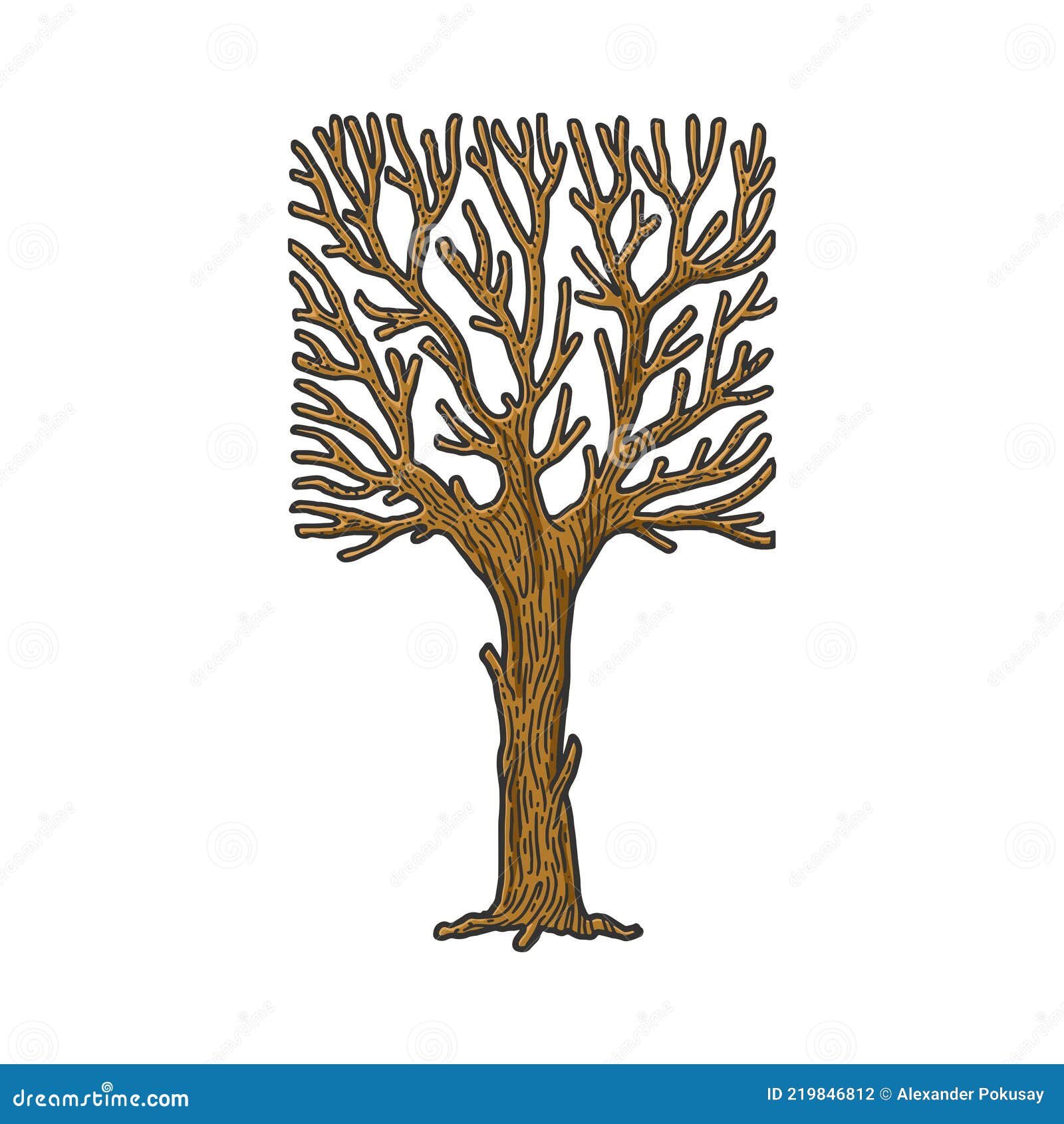 Disegno Vettoriale Dello Sketch Dell'albero Di Corona Quadrata  Illustrazione Vettoriale - Illustrazione di colore, bello: 219846812
