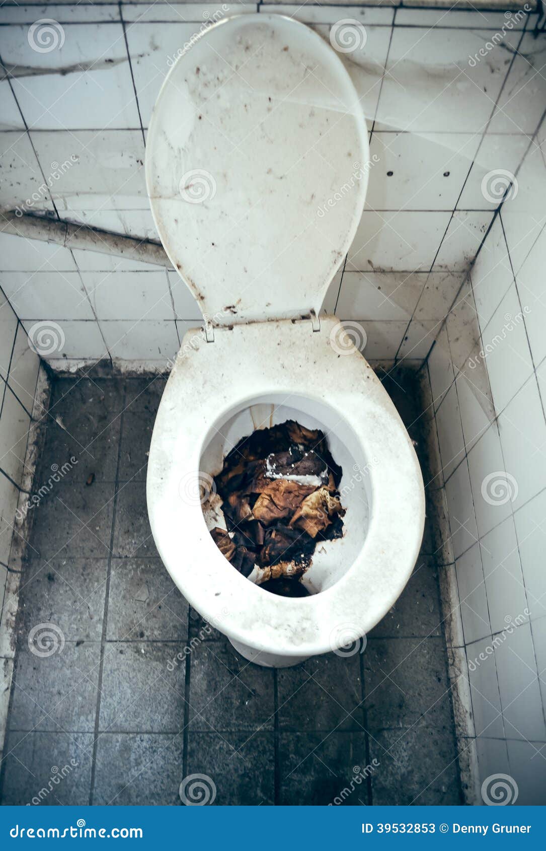 worst clogged toilet