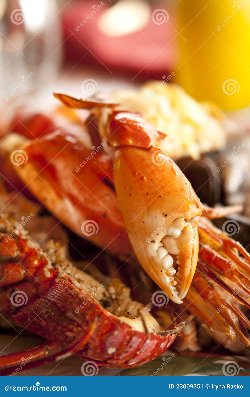 Dish with Cooked Crabs and Lobsters Stock Image Image of estate