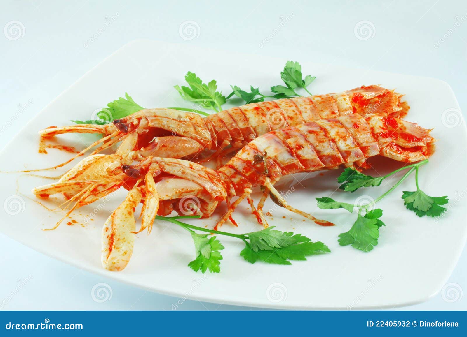 Dish with mantis shrimps stock photo. Image of marine 22405932