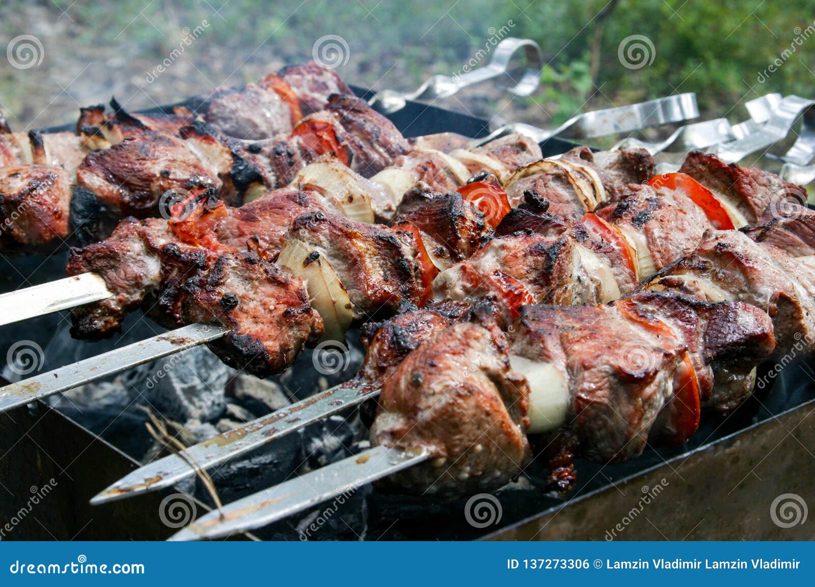 Dish of meat skewers stock photo. Image of dietary, kebab - 137273306