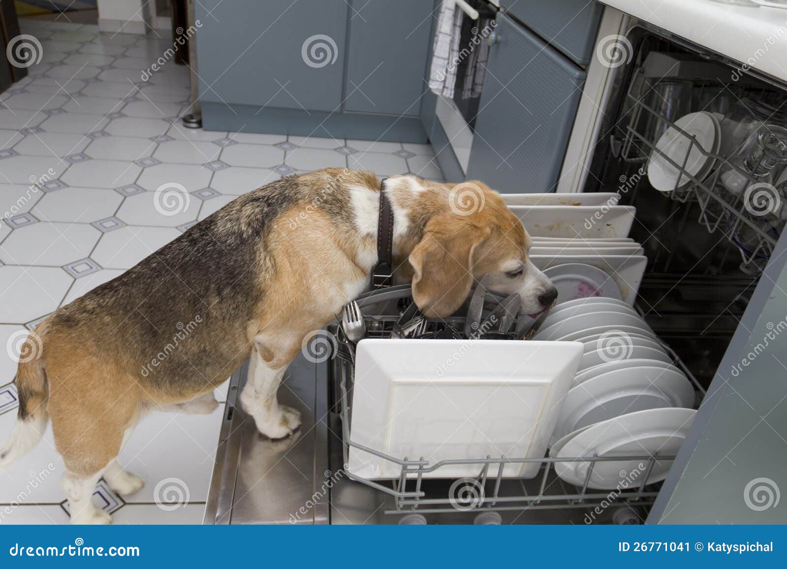 Dishwasher stock image. Image of dishwashing, humor, wash 26771041
