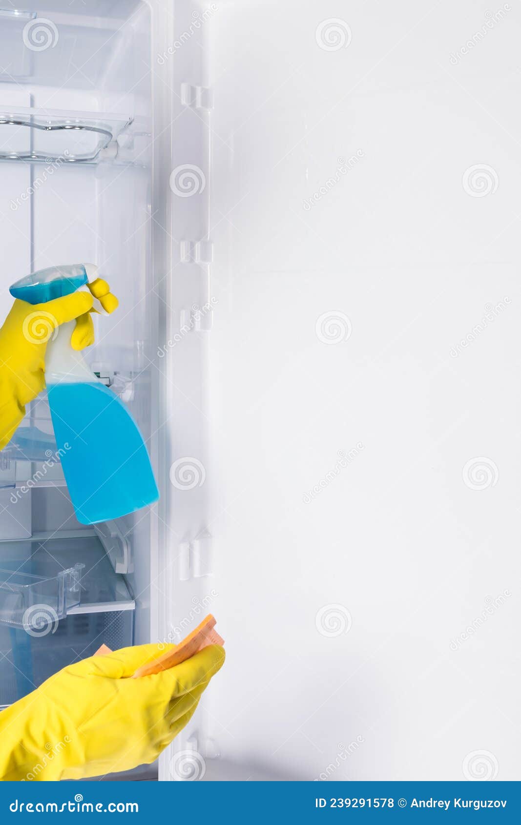 Disinfection of the Refrigerator with a Special Detergent Cleaning