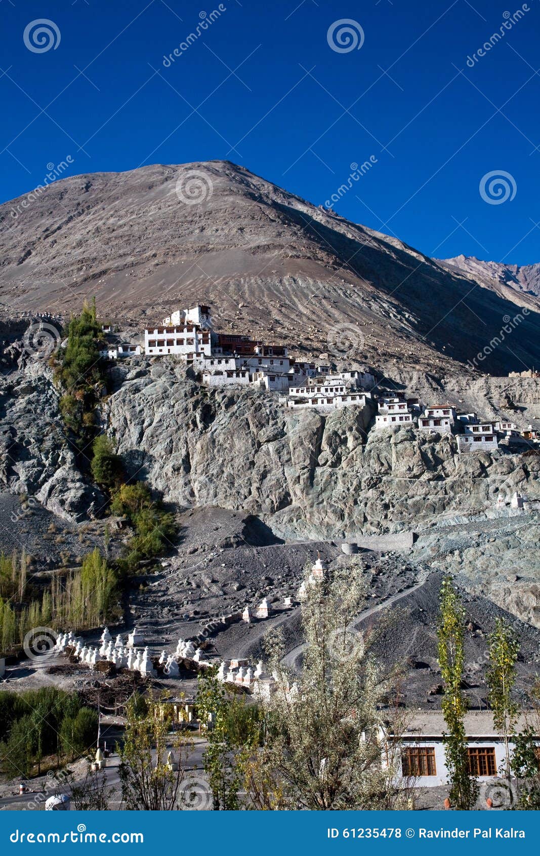 Diskit Monastery Nubra Valleyleh Ladakh Jammu And Kashmir
