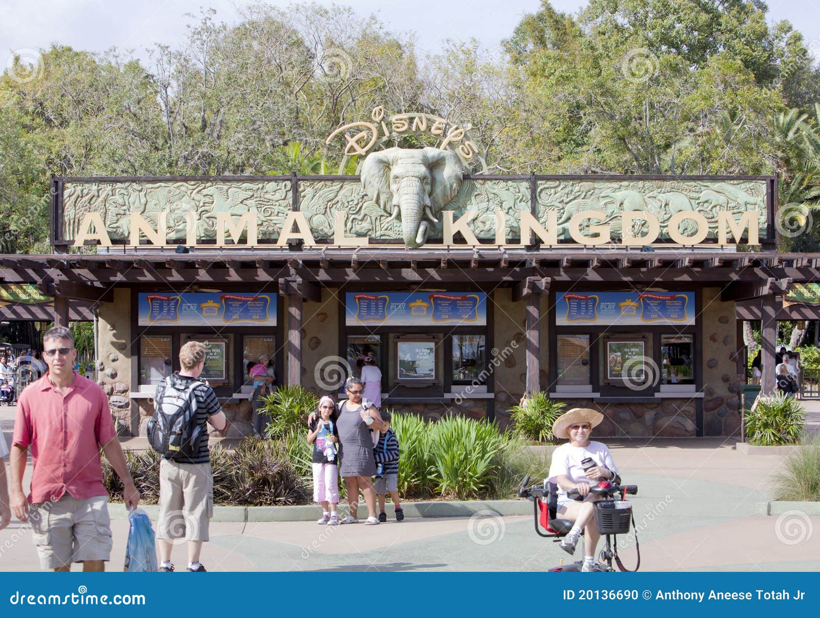 Disney Animal Kingdom editorial image. Image of reflection - 20136690