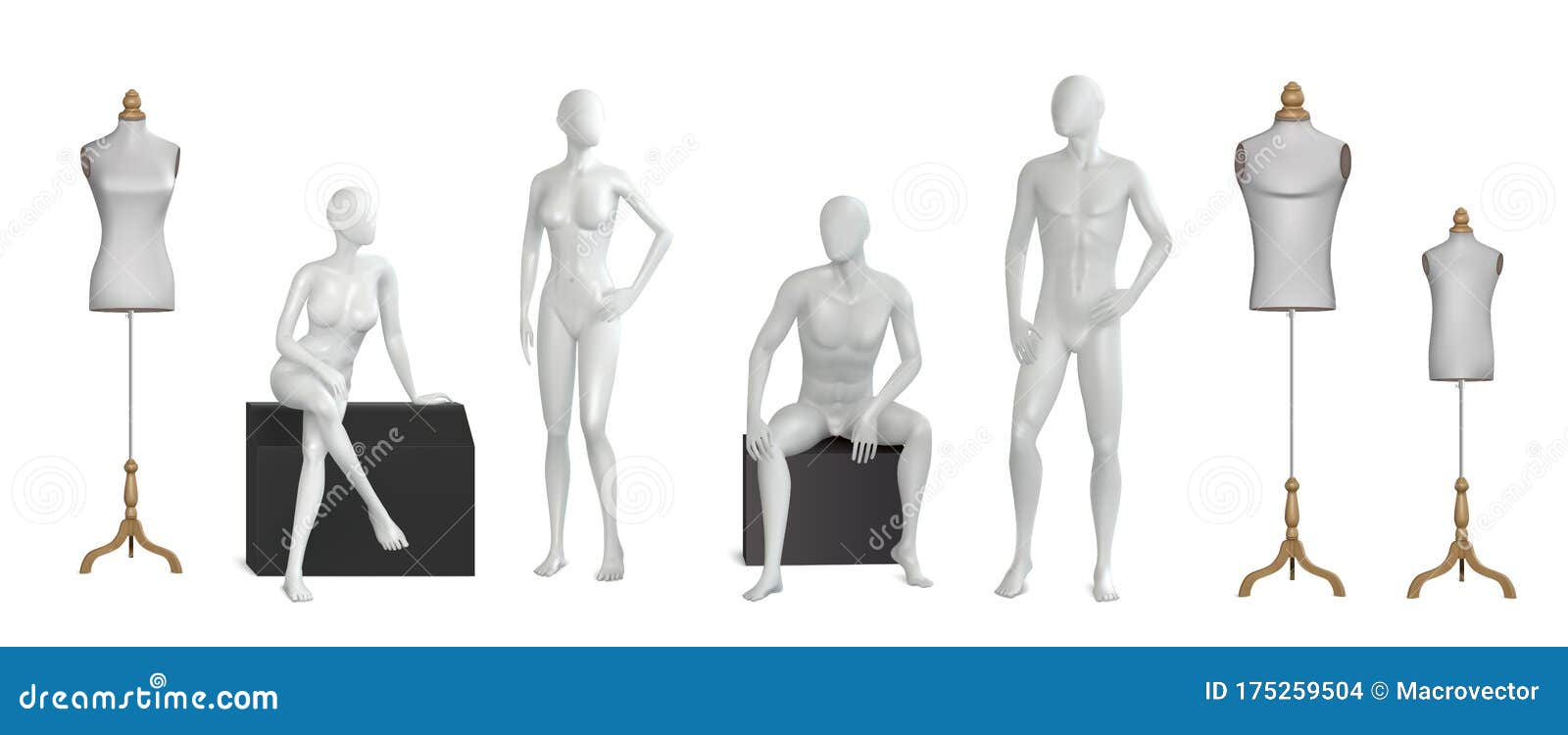 Body mannequins realistic set Royalty Free Vector Image