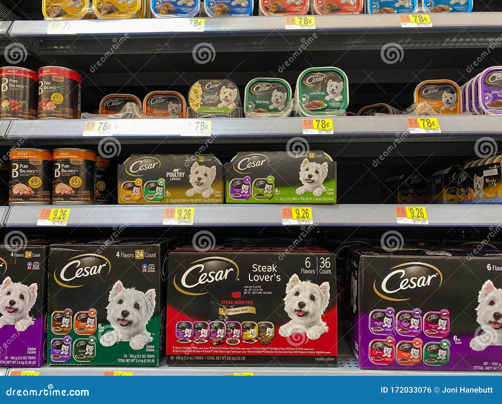 cesar puppy food walmart