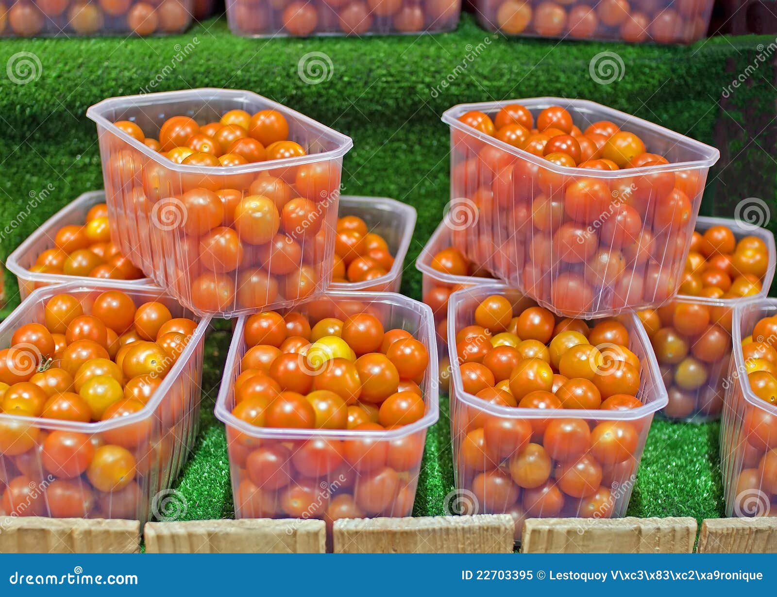 Display of Cocktail Tomatoes Stock Image Image of gastronomy
