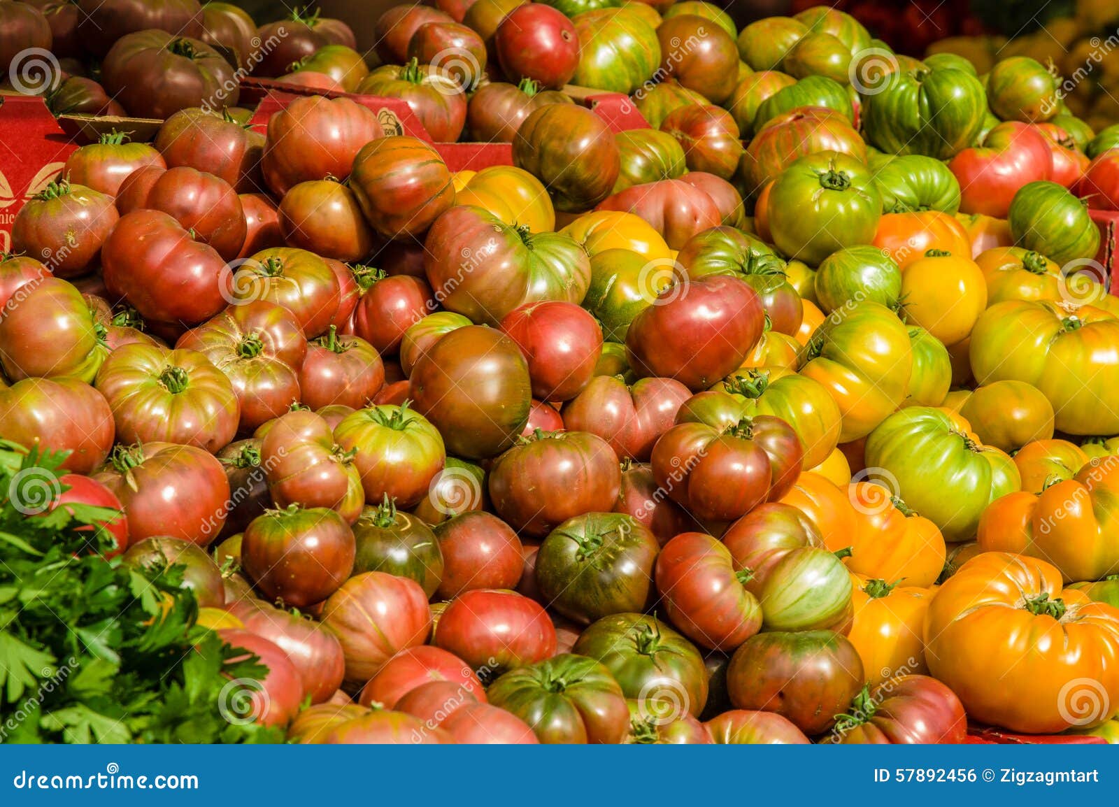 Display of Heirloom Tomatoes at the Market Stock Photo Image of