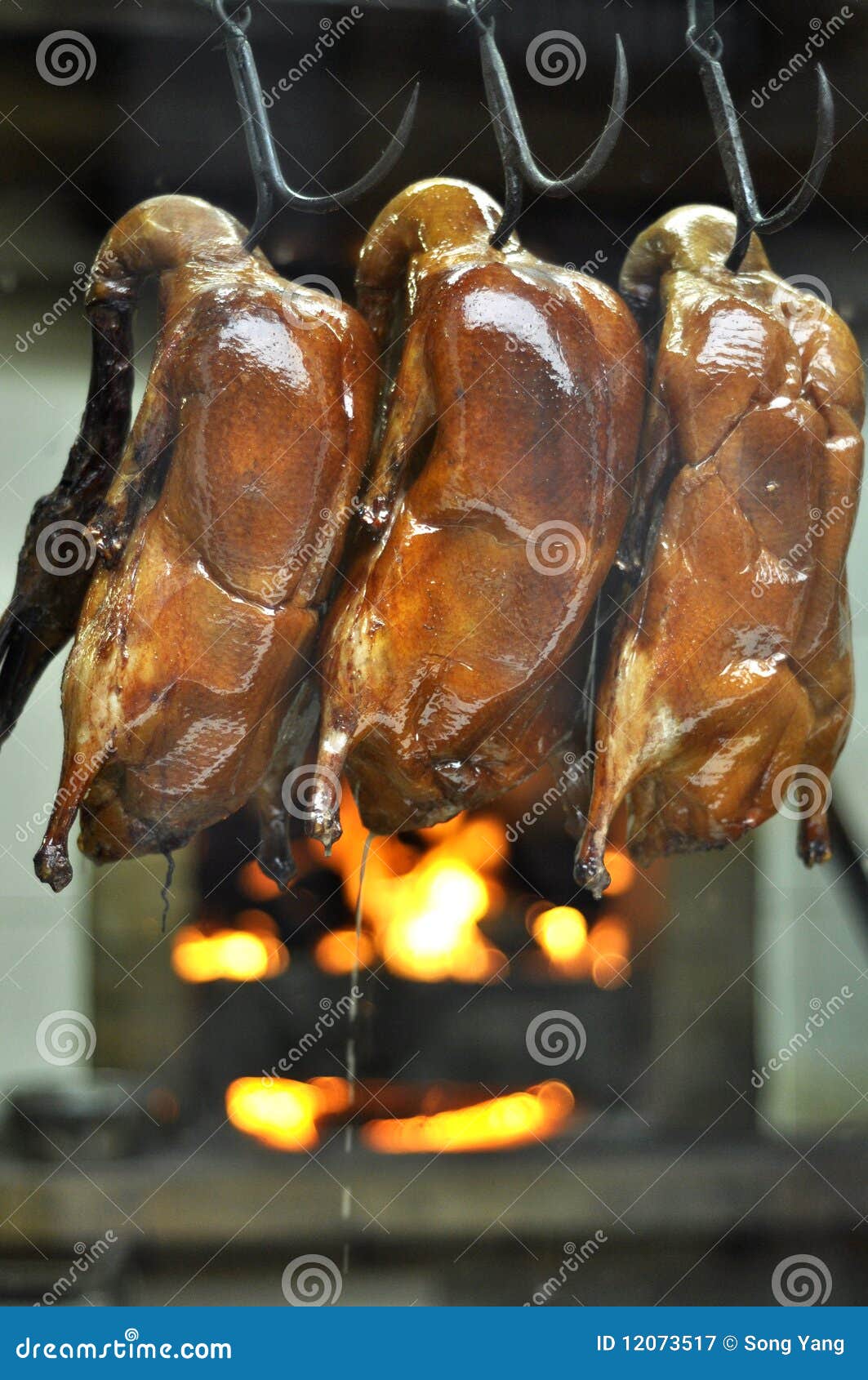 Display of Roasting Ducks in Beijing Stock Image Image of beijing